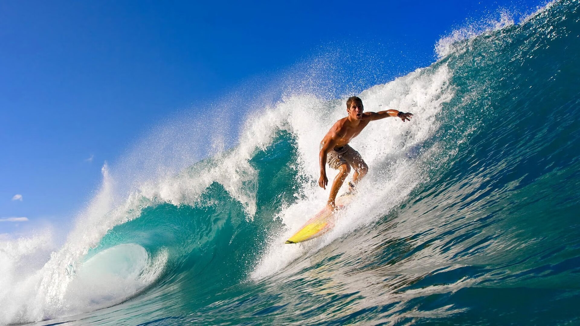 中国女篮的力量源自团队精神，中国女篮效力wnba的球员